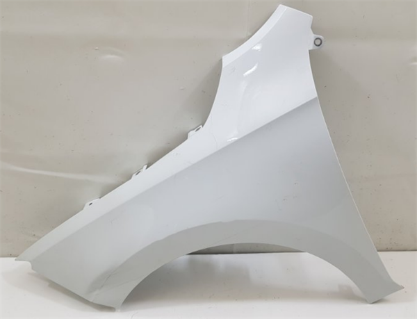 Steel Auto Spare Parts Car Front Fender for Skoda Rapid 5JA821021C